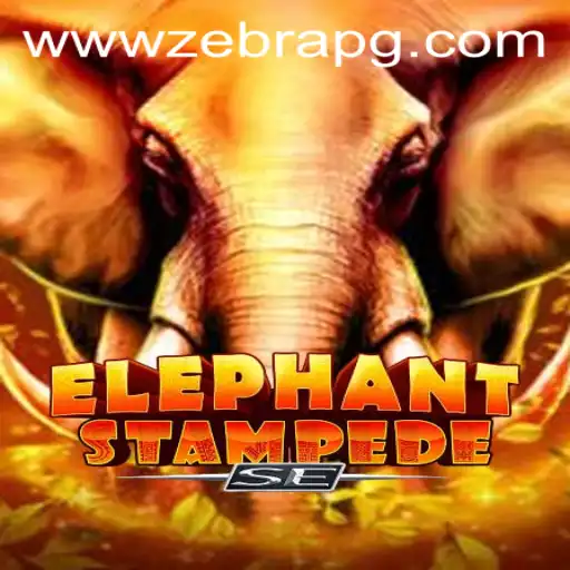 zebrapg PH Login Casino Withdrawal